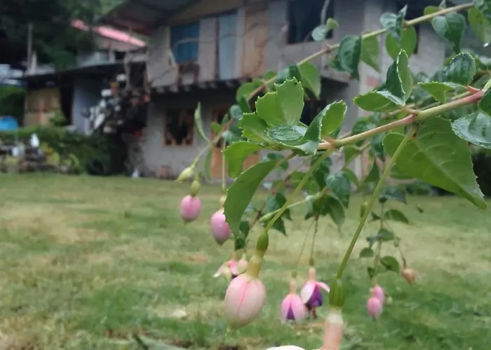 Salkantay A&r Guest house *