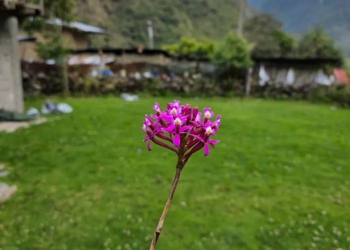 Salkantay A&r