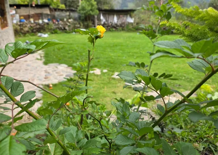 Salkantay A&r Guest house *